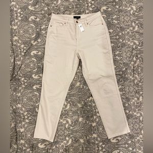 Banana Republic Factory Curvy Straight Jean